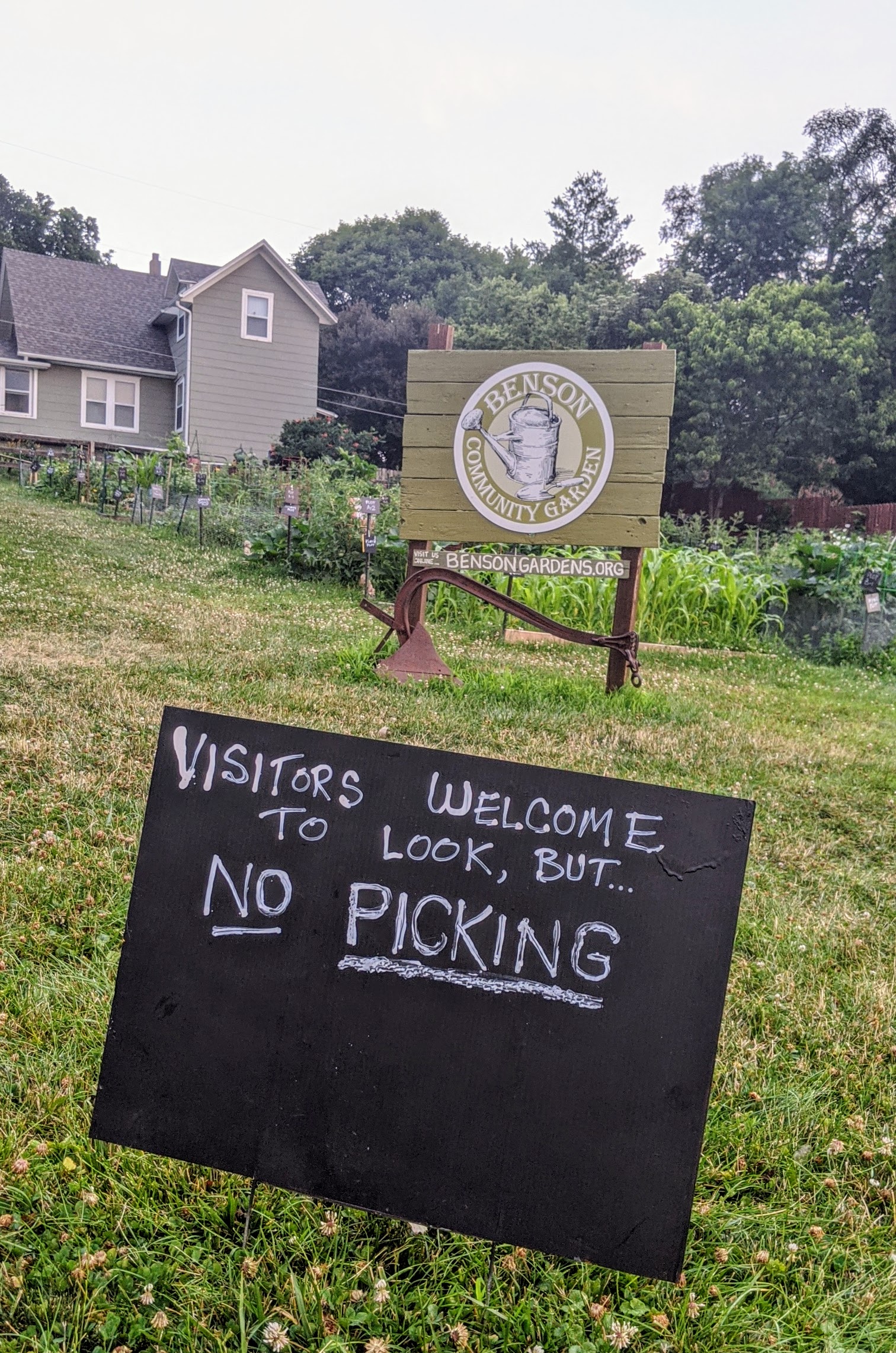 Visitors welcome to look, but please NO PICKING!