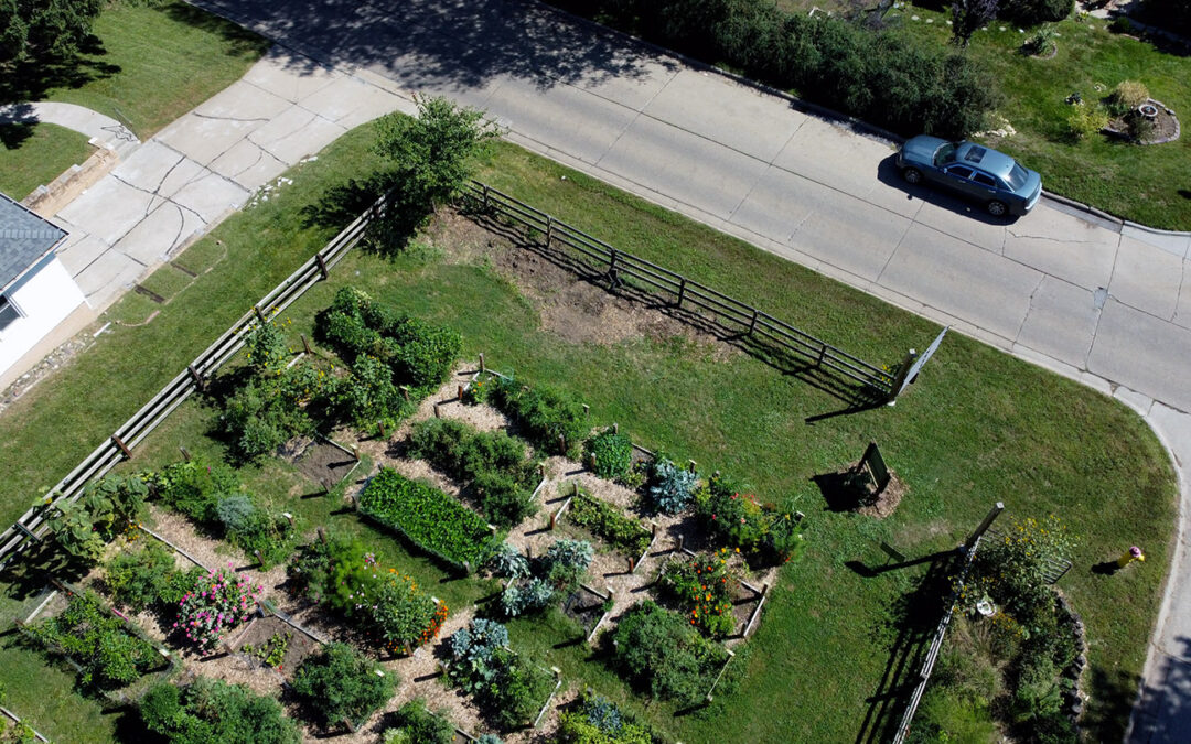 New Educational Garden area coming to the Benson Community Garden