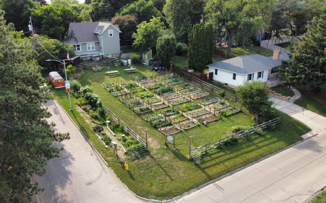 BCG Gardeners’ Update – 10/23/25