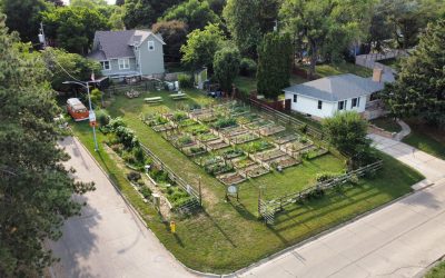 BCG Gardeners’ Update – 10/23/25