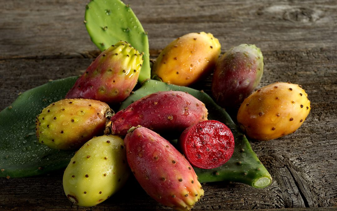 A Touch of the Desert in Benson: Welcoming Our New Prickly Pear Cactus